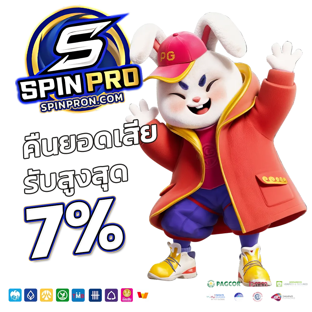 Spin pro Auto